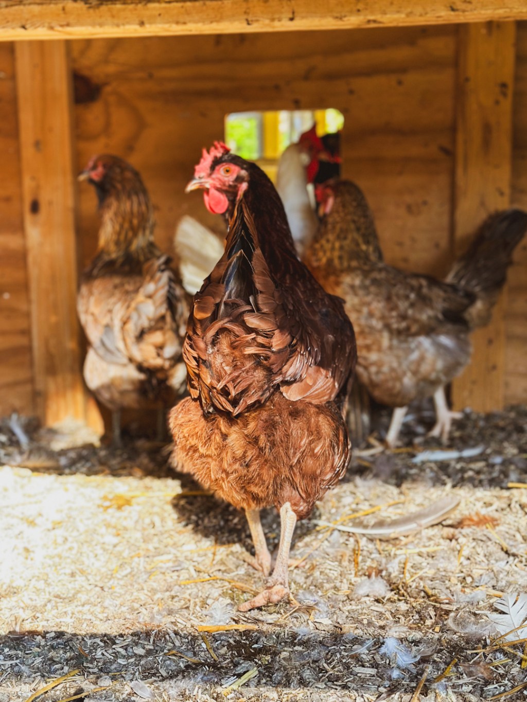 10 Easy Zero Waste Swaps for Beginners: Simple Changes to Reduce Daily&nbsp;Waste