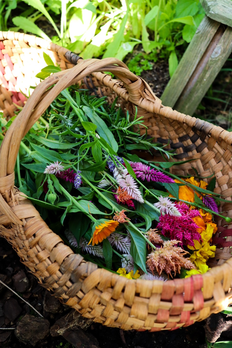 Beltane: Welcoming the Fire of Summer with Family, Magic, and